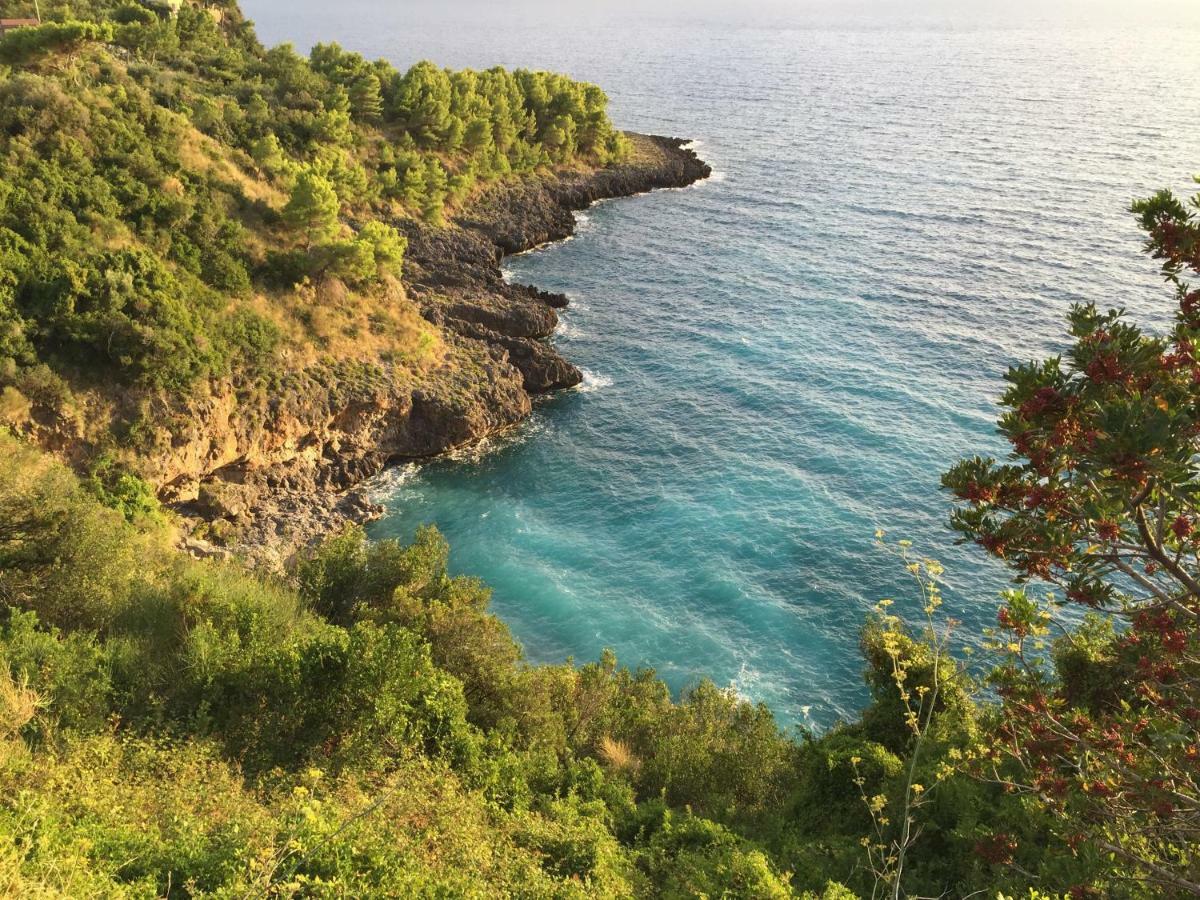 Fili D'Erba Cilento Villa Villammare Dış mekan fotoğraf