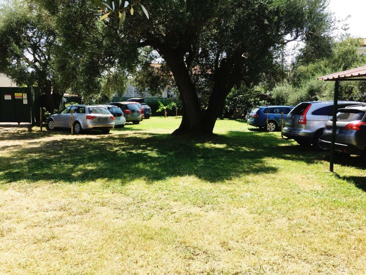 Fili D'Erba Cilento Villa Villammare Dış mekan fotoğraf